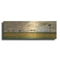 thumbnail image 1 of Luxe Metal Art 'Laundry Day' by Lori Deiter, Metal Wall Art, 36"x12", 1 of 9