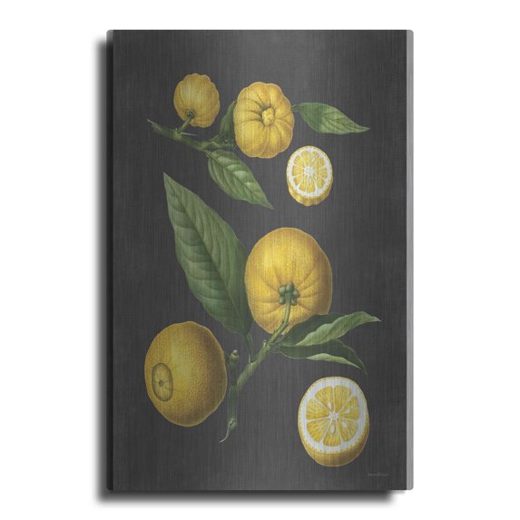 Luxe Metal Art 'Lemon Citrus' by lettered & lined, Metal Wall Art, 16"x24"