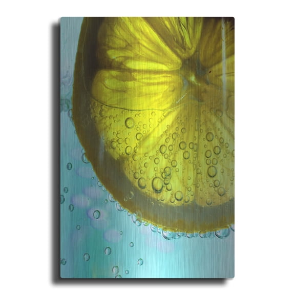 Luxe Metal Art 'Lemon Wheel' by Dana Brett Munach, Metal Wall Art, 12"x16"