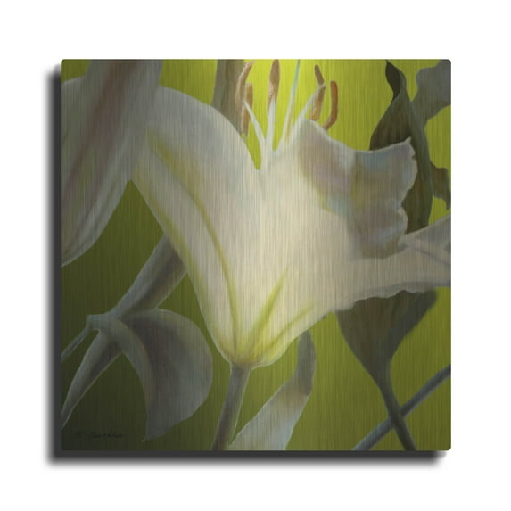 Luxe Metal Art 'Lily Green' by Jan Mclaughlin, Metal Wall Art, 36"x36"