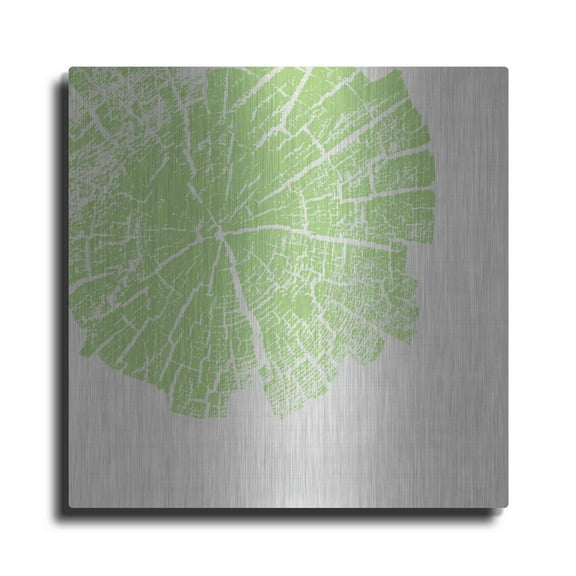 Luxe Metal Art 'Lime Slice' by Linda Woods, Metal Wall Art, 36"x36"