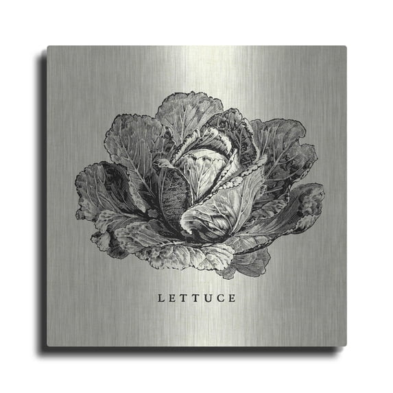 Luxe Metal Art 'Linen Vegetable BW Sketch Lettuce' by Studio Mousseau, Metal Wall Art, 24"x24"