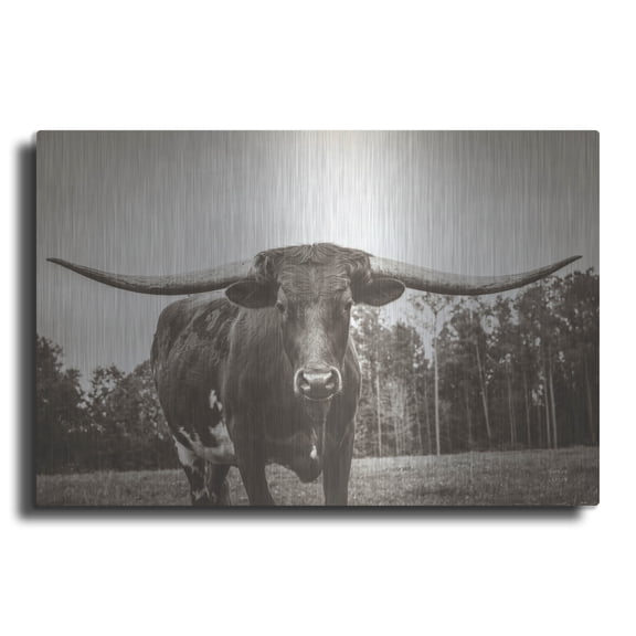 Luxe Metal Art 'Longhorn Pastures Sepia'  by Nathan Larson Metal Wall Art, 16" x 12"
