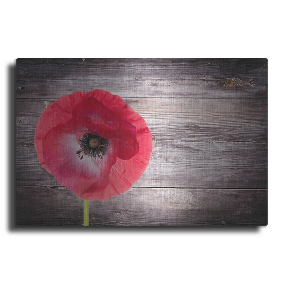 Luxe Metal Art 'Luxury On Rustic' Metal Wall Art, 16"x12"