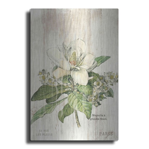 Luxe Metal Art 'Magnolia de Printemps v2' by Sue Schlabach, Metal Wall Art, 12"x16"