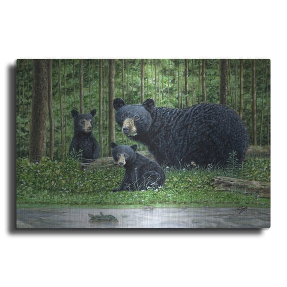 Luxe Metal Art 'Manistee Bears' by Durwood Coffey Metal Wall Art, 36" x 24"