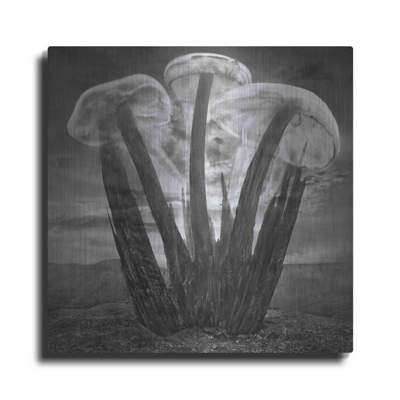 Luxe Metal Art 'Meduzalem' by Dariusz Klimczak, Metal Wall Art, 36"x36"