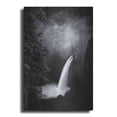 thumbnail image 1 of Luxe Metal Art 'Metlako Falls' by Darren White, Metal Wall Art, 16"x24", 1 of 9