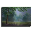 thumbnail image 1 of Luxe Metal Art 'Misty Morning' by Gary Adams, Metal Wall Art, 24"x16", 1 of 8