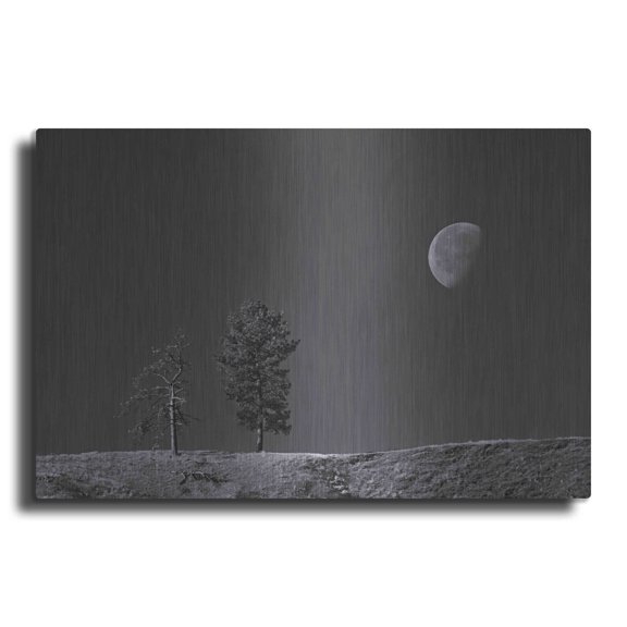 Luxe Metal Art 'Moon Trees Hill' by Thomas Haney, Metal Wall Art, 24"x16"