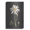 thumbnail image 1 of Luxe Metal Art 'Naturalist Bloom Study' by lettered & lined, Metal Wall Art, 12"x16", 1 of 9