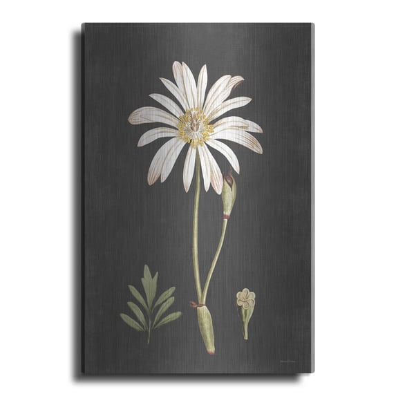 Luxe Metal Art 'Naturalist Bloom Study' by lettered & lined, Metal Wall Art, 12"x16"