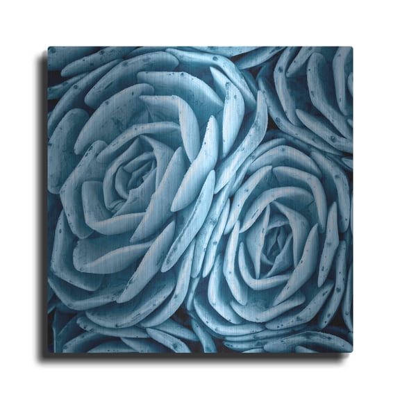 Luxe Metal Art 'Nestled Succulents' by Jan Bell Metal Wall Art, 36"x36"