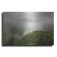 thumbnail image 1 of Luxe Metal Art 'New River Gorge Bridge' by Lori Deiter, Metal Wall Art, 36"x24", 1 of 9