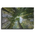 thumbnail image 1 of Luxe Metal Art 'POV' by Luxe Portfolio, Metal Wall Art, 36"x24", 1 of 9