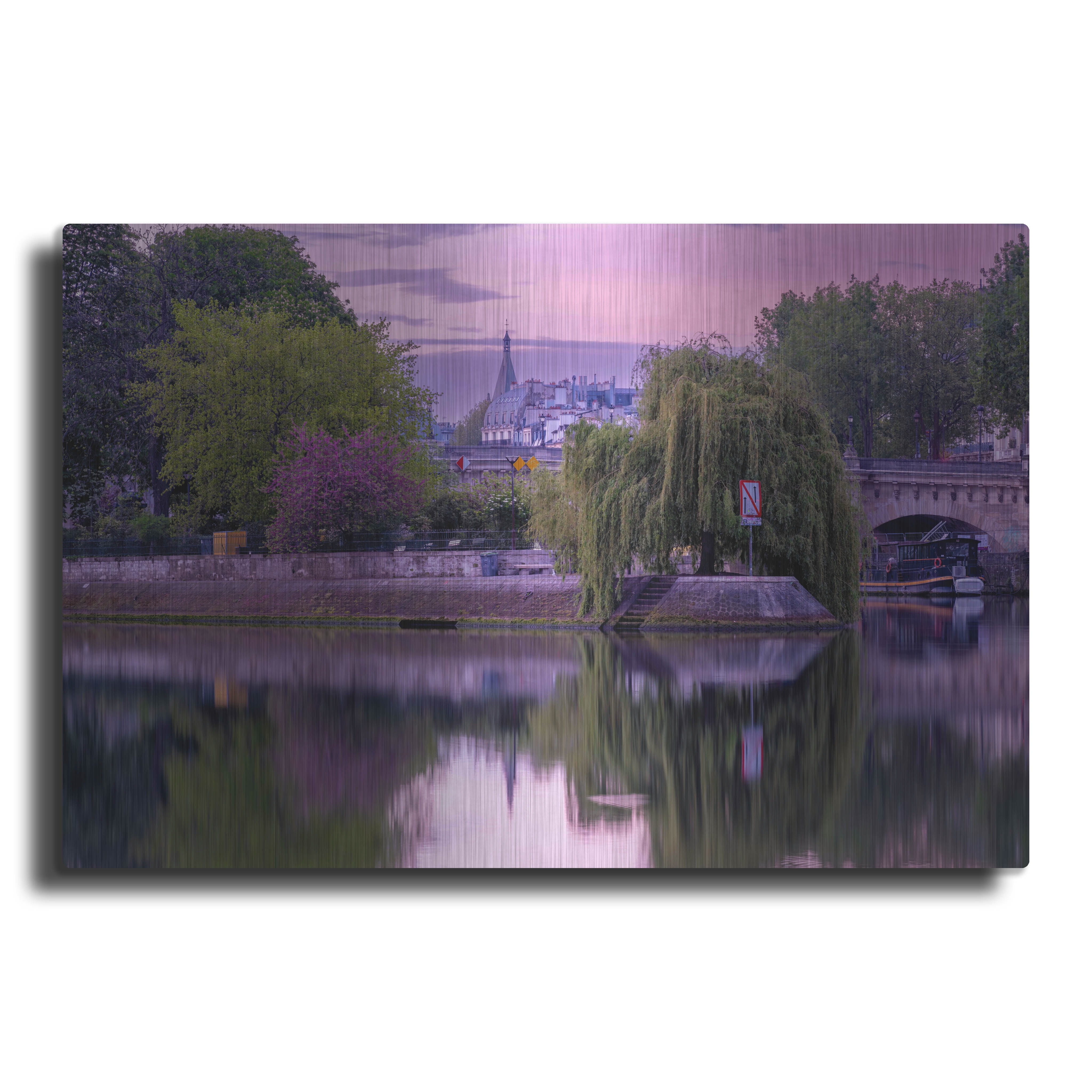 saule pleureur de la pointe