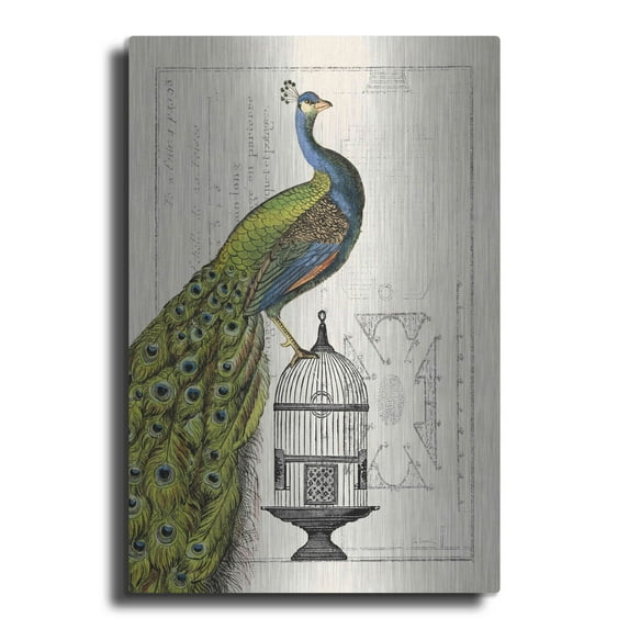 Luxe Metal Art 'Peacock Birdcage I' by Sue Schlabach, Metal Wall Art, 16"x24"