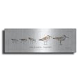 thumbnail image 1 of Luxe Metal Art 'Pebbles and Sandpipers I' by Lisa Audit, Metal Wall Art, 48"x16", 1 of 9
