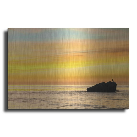 Luxe Metal Art 'Pelican Sunrise' by Chris Moyer, Metal Wall Art, 36"x24"