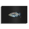 thumbnail image 1 of Luxe Metal Art 'Picasso Trigger' by Durwood Coffey, Metal Wall Art, 16"x12", 1 of 9