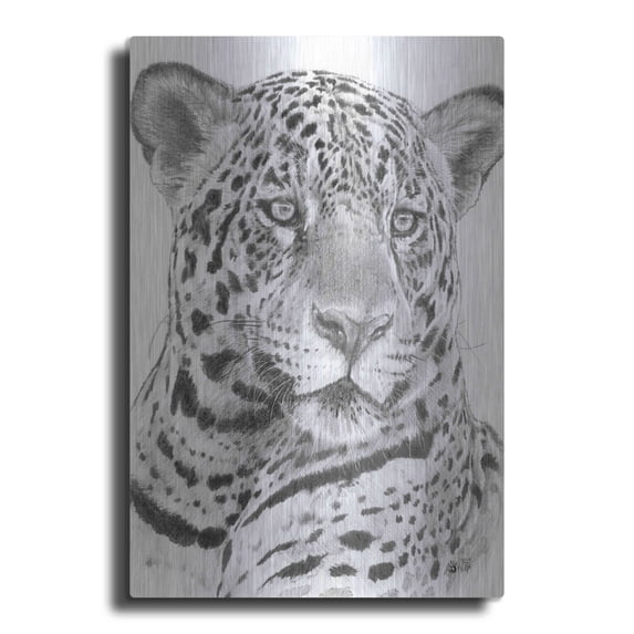 Luxe Metal Art 'Placate' by Barbara Keith, Metal Wall Art, 16"x24"