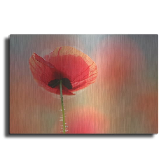 Luxe Metal Art ' Poppy Dream' by Roeselien Raimond, Metal Wall Art, 16"x12"