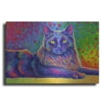 thumbnail image 1 of Luxe Metal Art 'Psychedelic Rainbow Black Cat' by Rebecca Wang Art, Metal Wall Art, 24"x16", 1 of 8