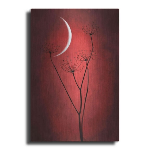 Luxe Metal Art 'Red Crescent Moon' by Philippe Sainte-Laudy, Metal Wall Art, 16"x24"