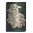 thumbnail image 1 of Luxe Metal Art 'Redolent' by Barbara Keith, Metal Wall Art, 16"x24", 1 of 9