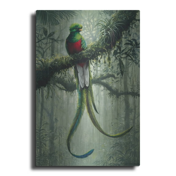 Luxe Metal Art 'Resplendent Quetzal 2' by Harro Maass, Metal Wall Art, 12"x16"