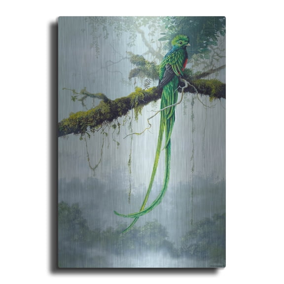 Luxe Metal Art 'Resplendent Quetzal' by Harro Maass, Metal Wall Art, 12"x16"