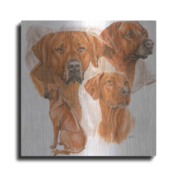 Luxe Metal Art 'Rhodisian Ridgeback' by Barbara Keith, Metal Wall Art, 24"x24"