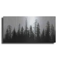 thumbnail image 1 of Luxe Metal Art 'Rocky's Trees' by Lori Deiter, Metal Wall Art, 24"x12", 1 of 10