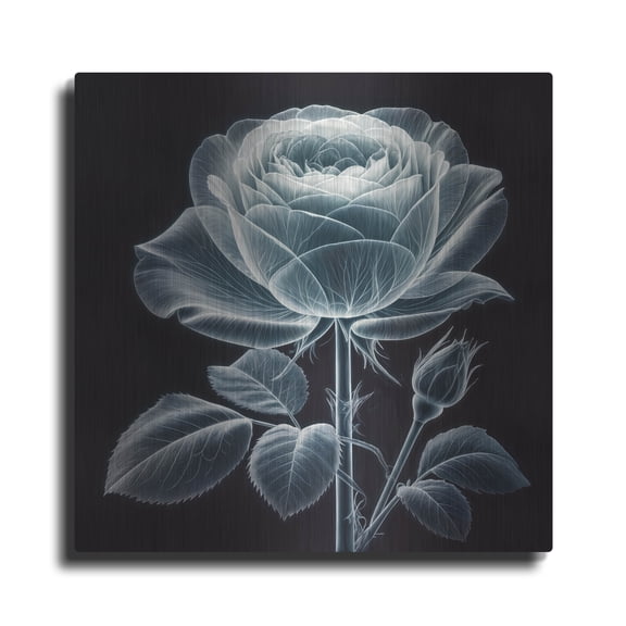 Luxe Metal Art 'Rose X Ray' by Rey Klimt Metal Wall Art, 12" x 12"