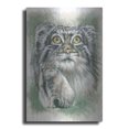 thumbnail image 1 of Luxe Metal Art 'Rowdy' by Barbara Keith, Metal Wall Art, 12"x16", 1 of 9