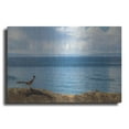 thumbnail image 1 of Luxe Metal Art 'Runner View' by Chris Moyer, Metal Wall Art, 24"x16", 1 of 8