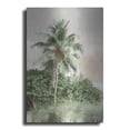 thumbnail image 1 of Luxe Metal Art 'Sanibel Island Palm' by Lori Deiter, Metal Wall Art, 24"x36", 1 of 9