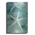 thumbnail image 1 of Luxe Metal Art 'Seaglass 1' by Alan Blaustein Metal Wall Art, 24"x36", 1 of 8
