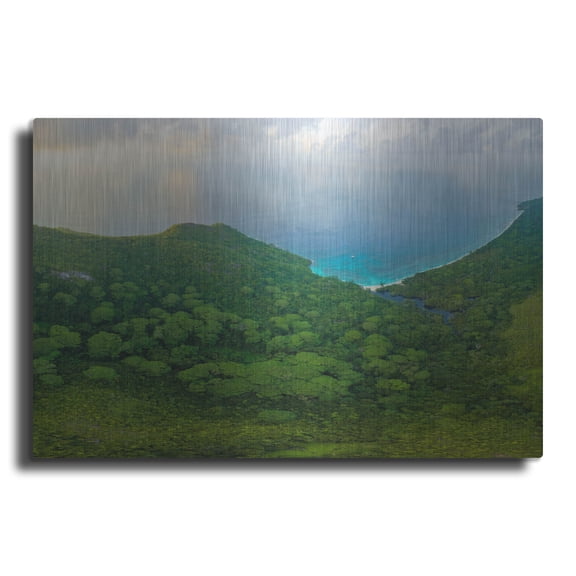 Luxe Metal Art 'Seychelles Forest Crop' by Luxe Portfolio, Metal Wall Art, 16"x12"