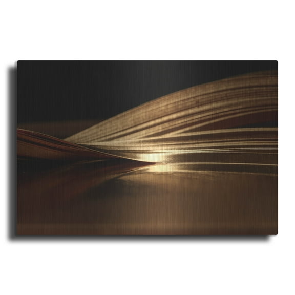 Luxe Metal Art 'Sif' by Luxe Portfolio, Metal Wall Art, 16"x12"