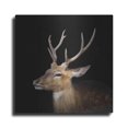 thumbnail image 1 of Luxe Metal Art 'Sika Deer' by Epic Portfolio Metal Wall Art, 12"x12", 1 of 9