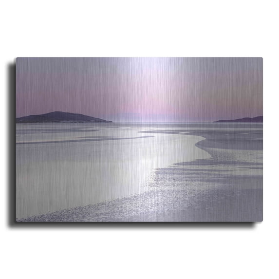 Luxe Metal Art 'Silver Silence' by Lynne Douglas, Metal Wall Art, 24"x16"