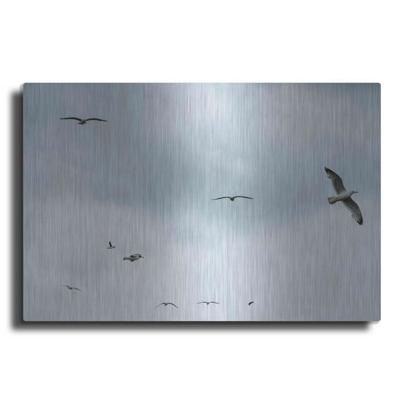 Luxe Metal Art 'Sky Patrol' by Luxe Portfolio, Metal Wall Art, 16"x12"