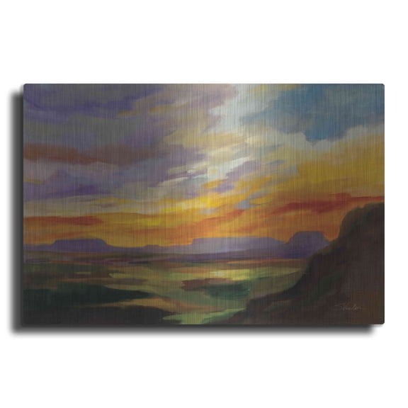 Luxe Metal Art 'Sonoran Desert Sunset' by Silvia Vassileva, Metal Wall Art, 16" x 12"