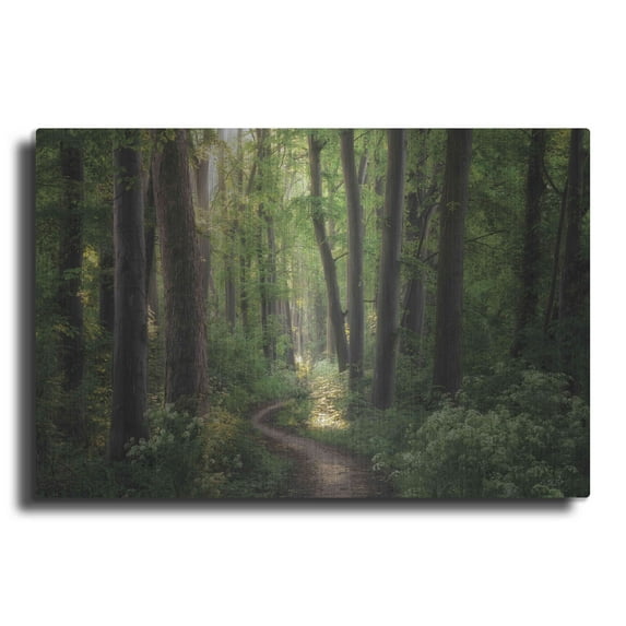 Luxe Metal Art 'Spring Chaos' by Martin Podt, Metal Wall Art, 24"x16"