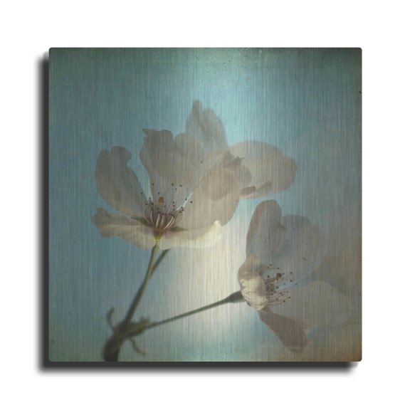 Luxe Metal Art 'Spring Sings' by Dawn D Hanna, Metal Wall Art, 12"x12"