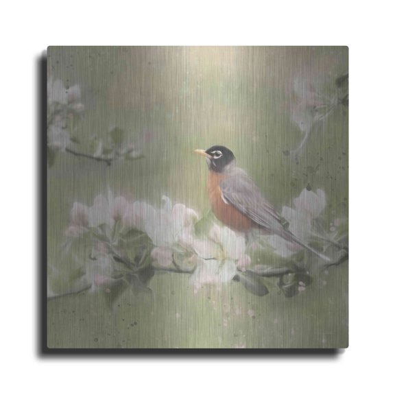 Luxe Metal Art 'Springtime Robin' by Lori Deiter, Metal Wall Art, 12"x12"