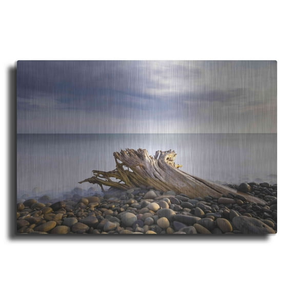 Luxe Metal Art 'Stumped' by Chris Moyer, Metal Wall Art, 16"x12"