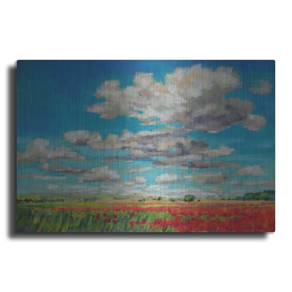 Luxe Metal Art 'Summer Clouds and Poppies' by Jennifer Gardner, Metal Wall Art, 24" x 16"