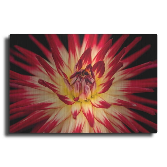 Luxe Metal Art 'Sunfire' by Epic Portfolio Metal Wall Art, 36"x24"